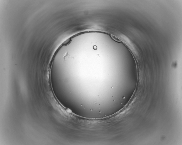 X0000093581292200710291054