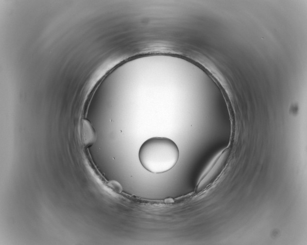 X0000093581293200710291054