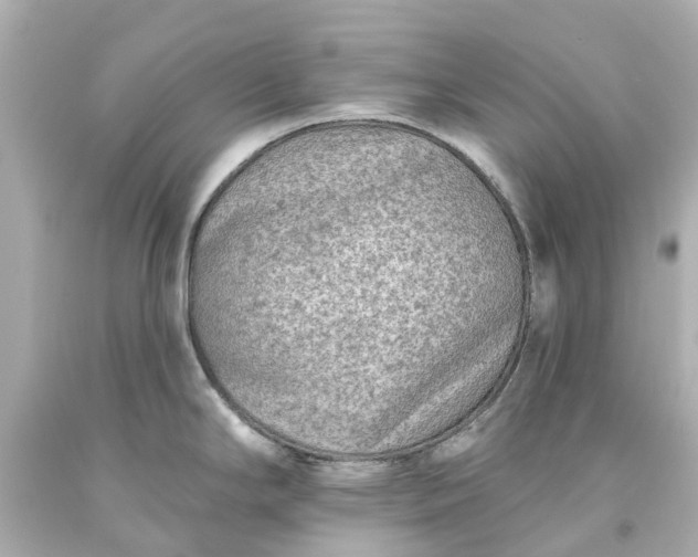 X0000093581294200710291053