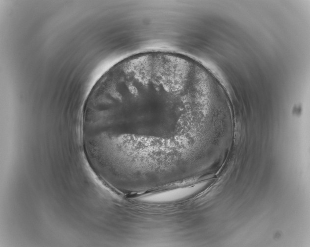 X0000093581295200710291053