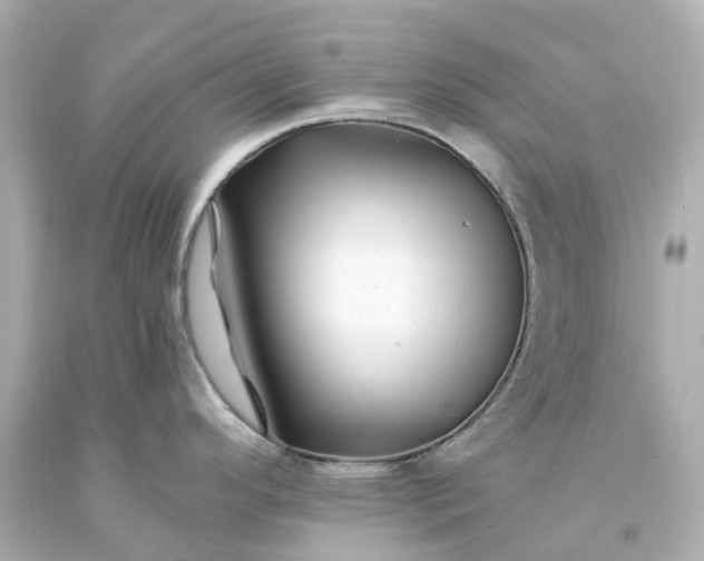 X0000093581296200710291053