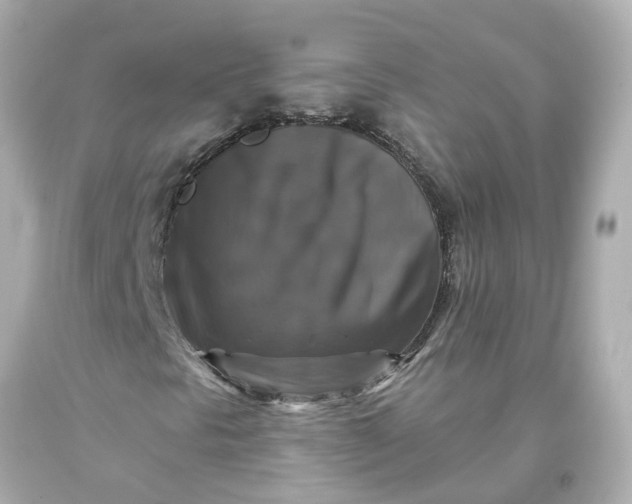 X0000093581297200710291053