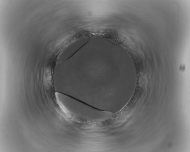 X0000093581298200710291053