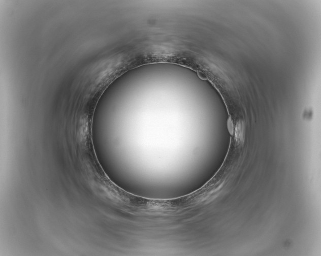 X0000093581299200710291053