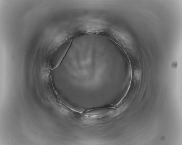 X0000093581300200710291053