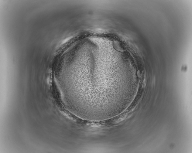 X0000093581301200710291053