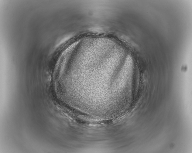 X0000093581302200710291053