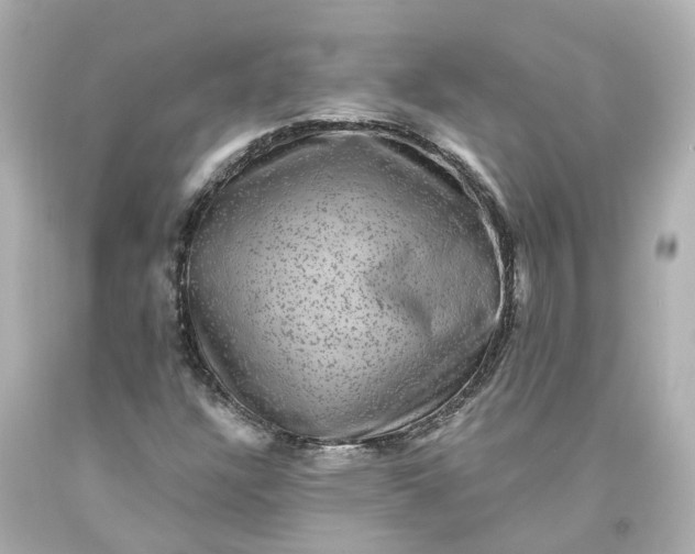 X0000093581304200710291053