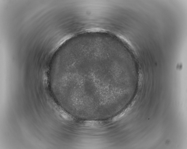 X0000093581305200710291053