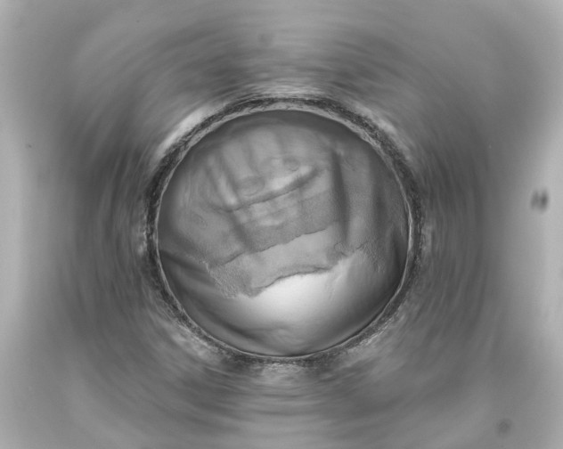 X0000093581306200710291053