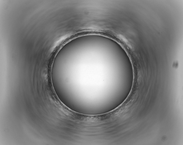 X0000093581307200710291053