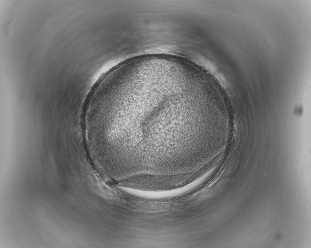 X0000093581308200710291053