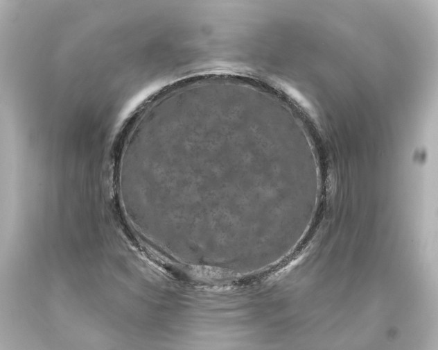 X0000093581310200710291053