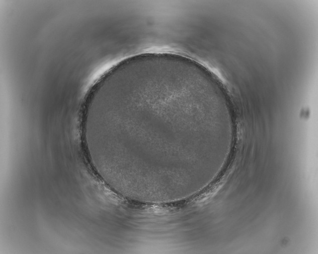 X0000093581311200710291053