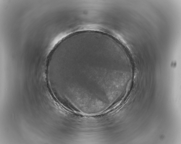 X0000093581312200710291053