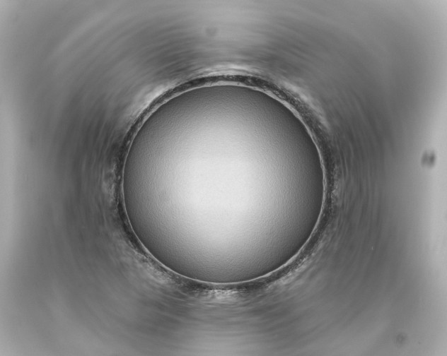 X0000093581313200710291053