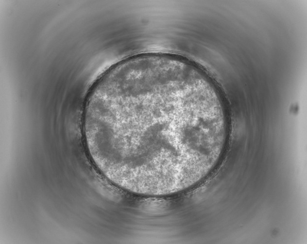 X0000093581314200710291053