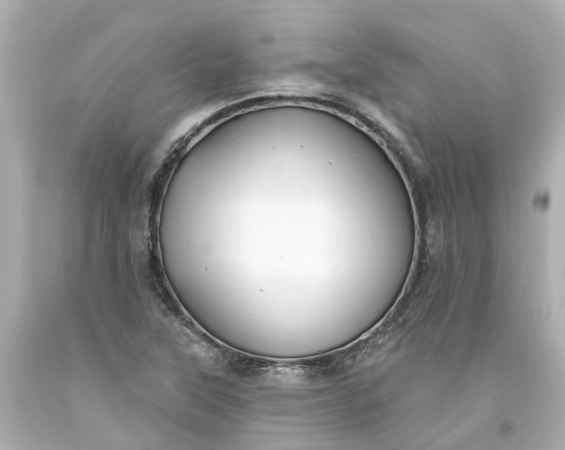 X0000093581315200710291053