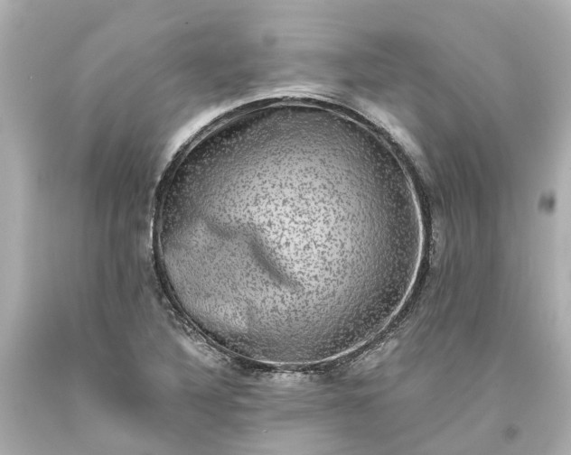 X0000093581316200710291053