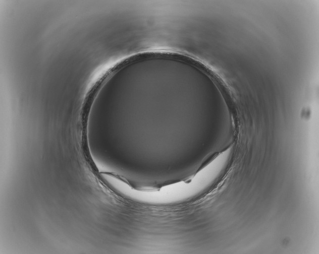 X0000093581319200710291053