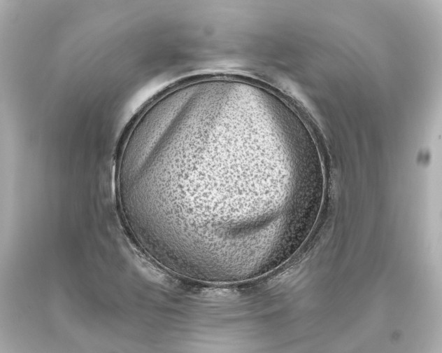 X0000093581320200710291053