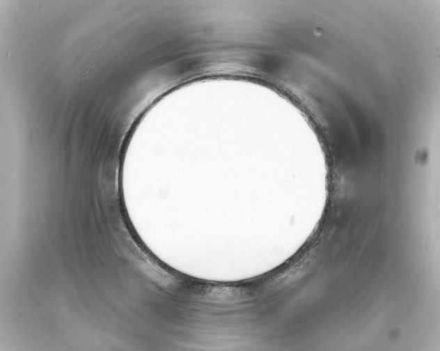 X0000093581322200710291053