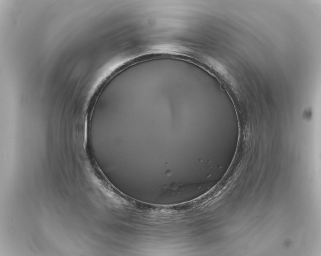 X0000093581323200710291053