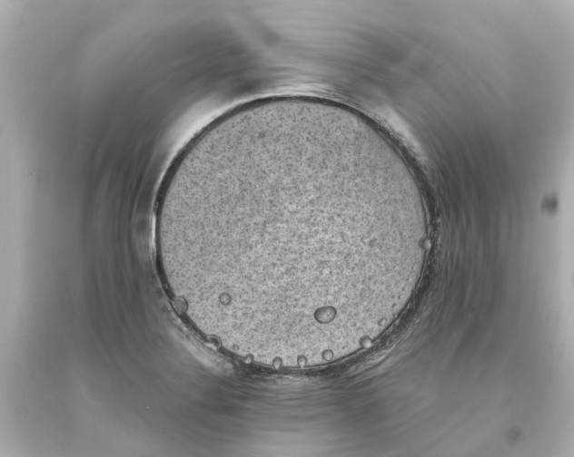 X0000093581324200710291053