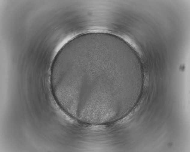 X0000093581325200710291053