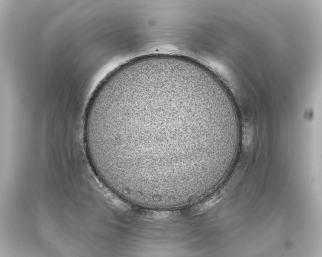 X0000093581326200710291053