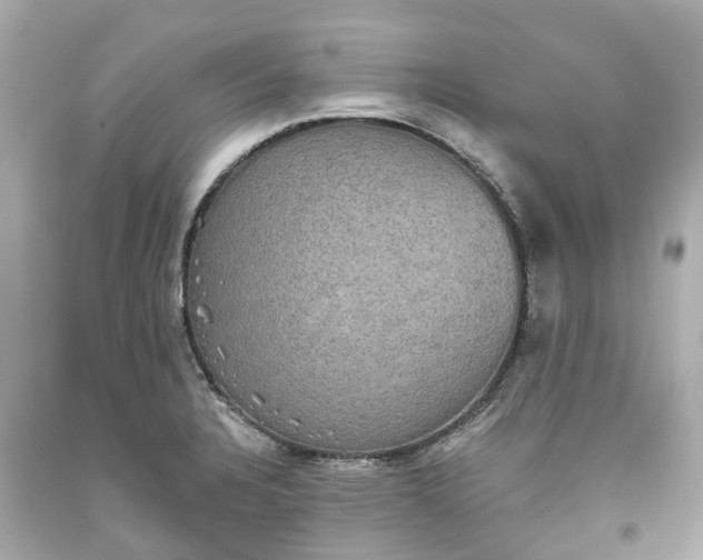 X0000093581328200710291053