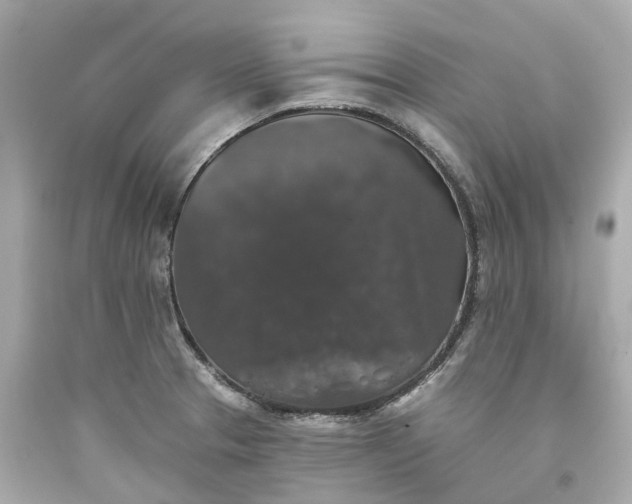 X0000093581329200710291053