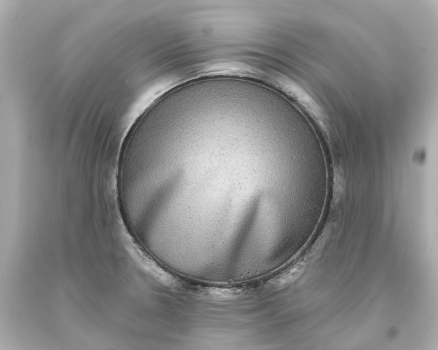 X0000093581330200710291053