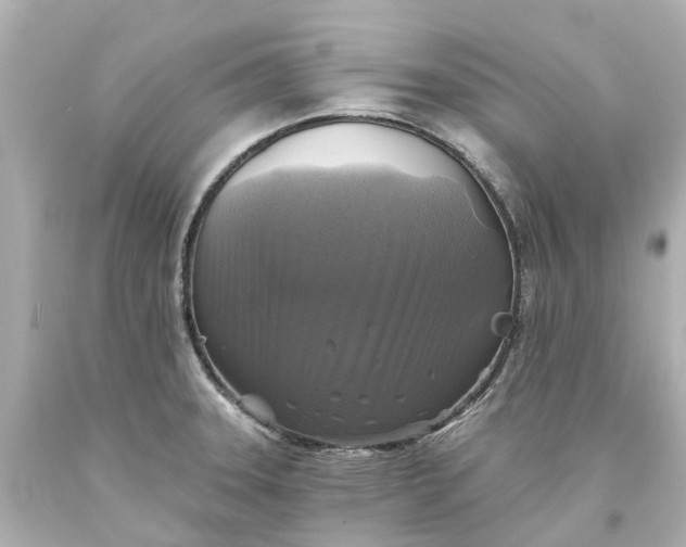 X0000093581331200710291053