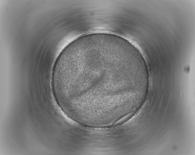 X0000093581333200710291053