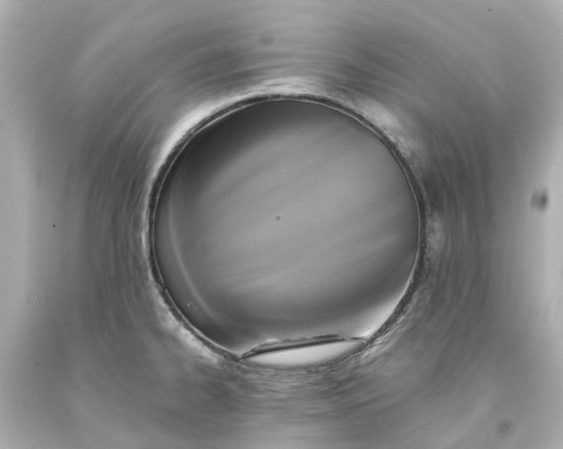 X0000093581334200710291053