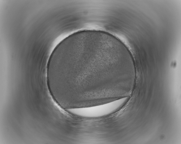 X0000093581335200710291053