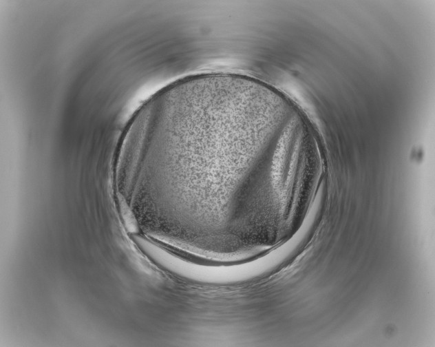 X0000093581336200710291053