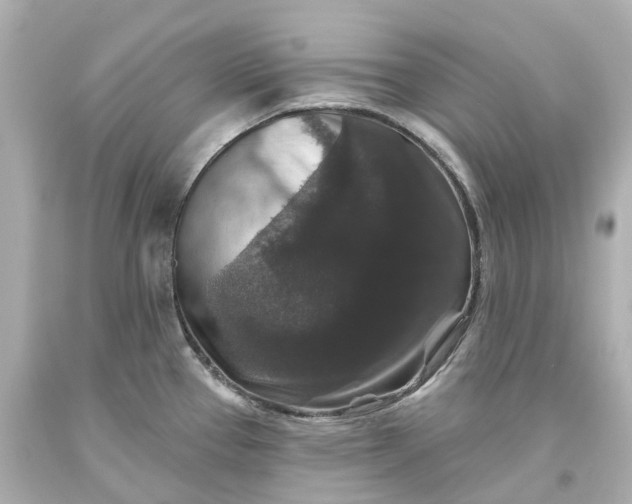 X0000093581337200710291053