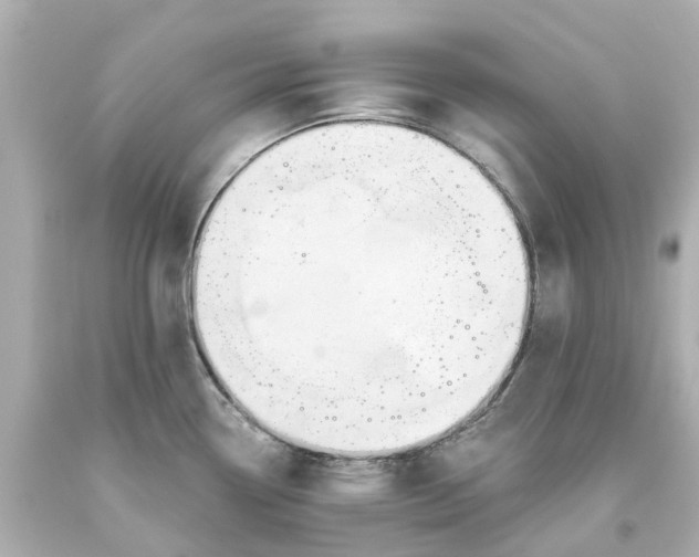 X0000093581338200710291053