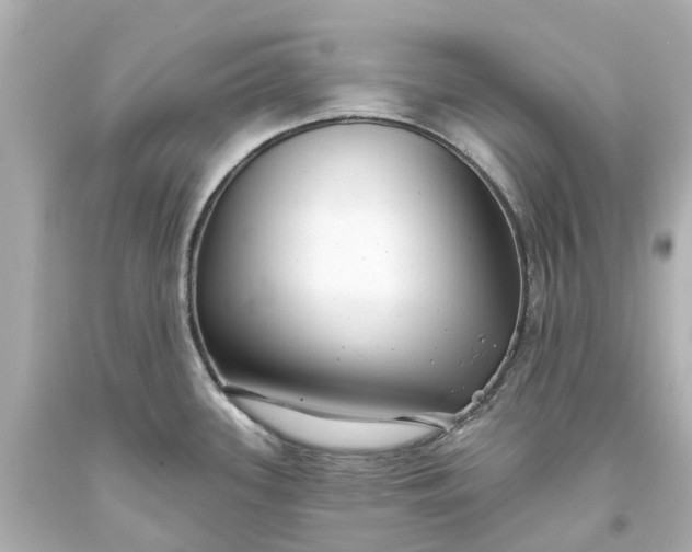 X0000093581339200710291053