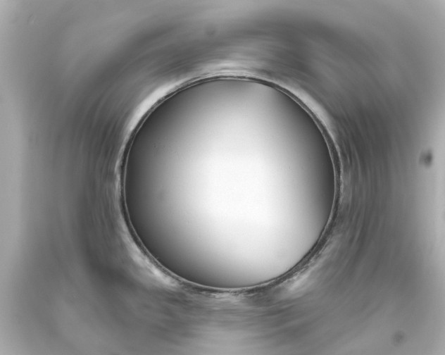 X0000093581341200710291053