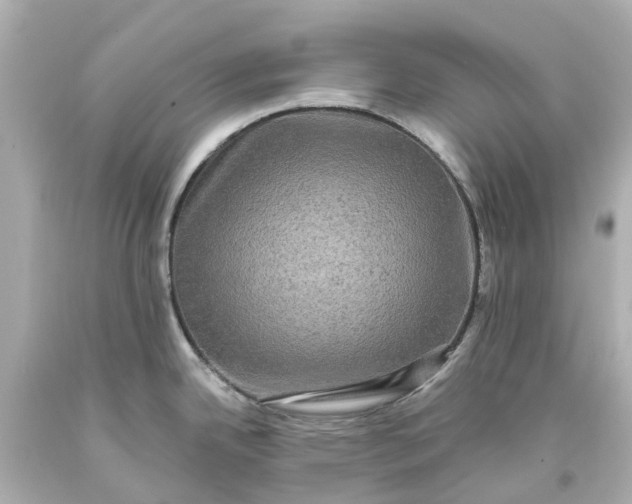 X0000093581342200710291053