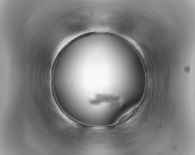 X0000093581343200710291053