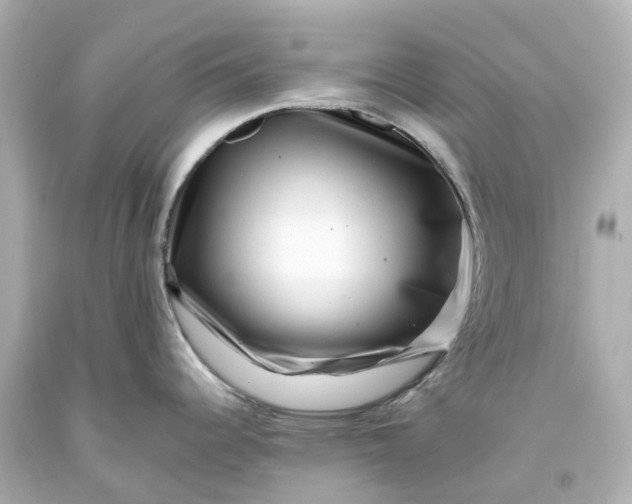 X0000093581344200710291053