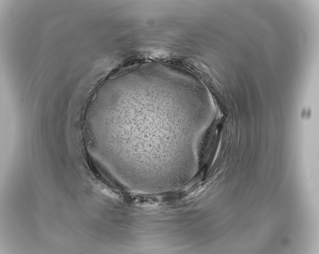 X0000093581345200710291053