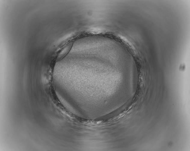 X0000093581349200710291053