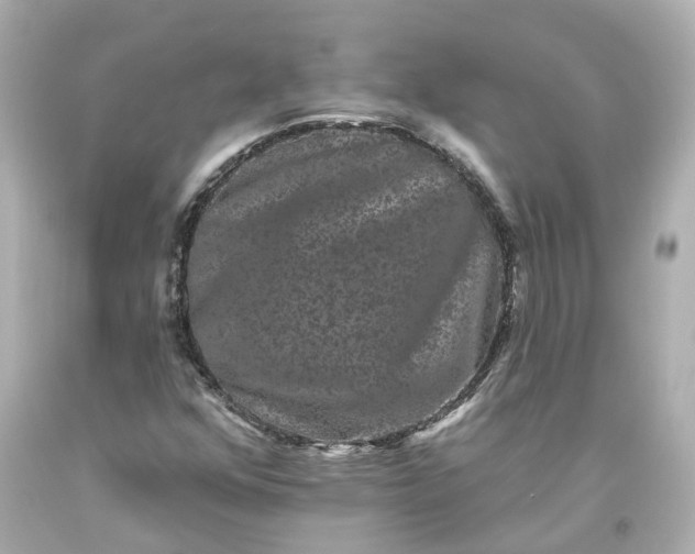 X0000093581352200710291053