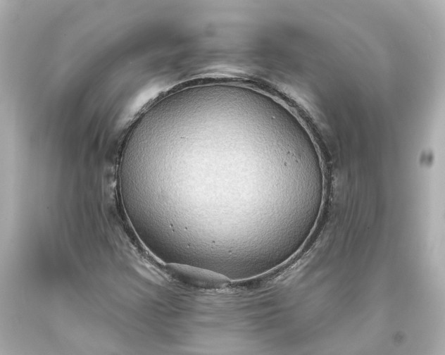 X0000093581355200710291053