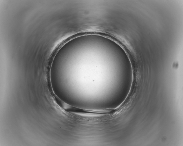 X0000093581356200710291053